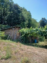 Terreno agricolo
