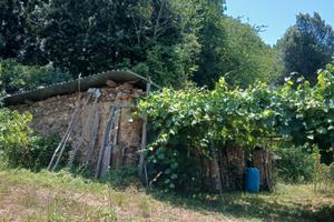 Terreno agricolo