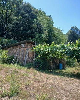 Terreno agricolo