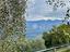 Immagine 16