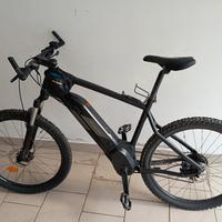 bicicletta pedalata assistita 