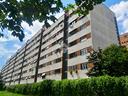 4-locali-a-roma