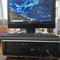 Pc hp elite monitor tastiera mouse cavi pronto uso