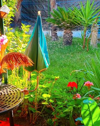 3 fresche stagioni primaverili nel Parco Nazionale