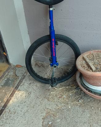 monociclo 20"