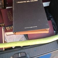 Libri i maestri del colore tutti