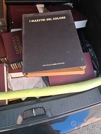Libri i maestri del colore tutti