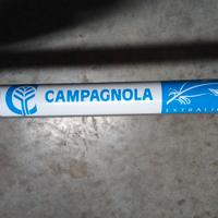Abbacchiatore per olive Campagnola Alice 