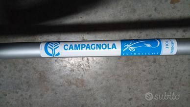 Abbacchiatore per olive Campagnola Alice 