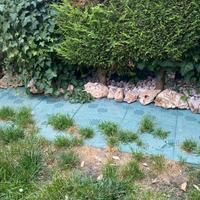 Sassi decorativi giardino