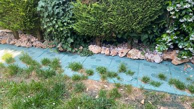 Sassi decorativi giardino