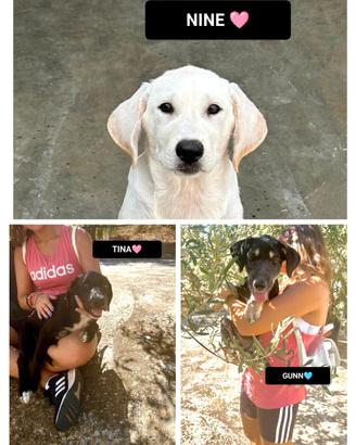 Tina, nine e gunn, 3 mesi