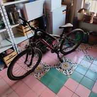 bottecchia 107 montanbike