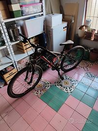 bottecchia 107 montanbike