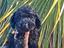 Immagine 13