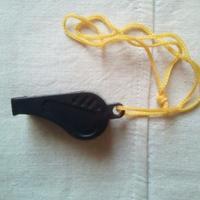 Fischietto (30 cent)