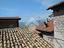 Immagine 15