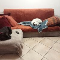 divano buone condizioni solo penisola rovinata