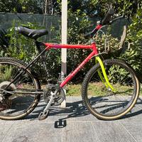 Bicicletta