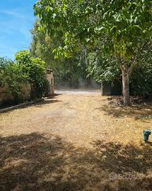Terreno Sabaudia Pontinia