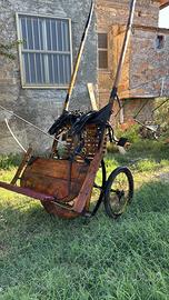 Calesse con finimenti