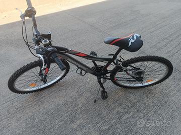 Bicicletta 