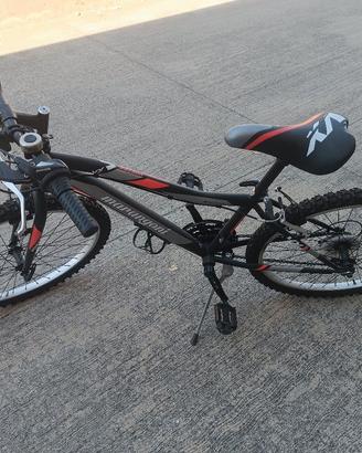 Bicicletta 