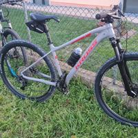 MTB 29 carbonio diverse marche 