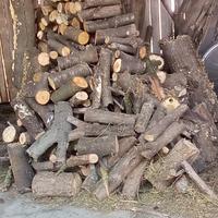 legna per stufa/camino 