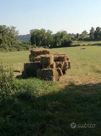Fieno in ballette