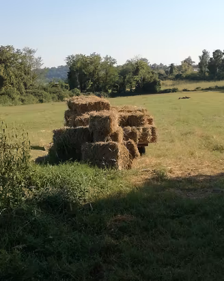 Fieno in ballette