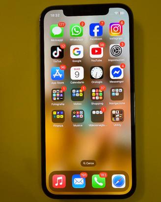 iPhone 12 Pro 256 gb