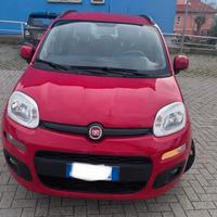 fiat panda 1.2  unicopropr. 2016 Rossa 