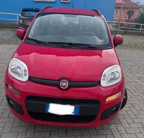 fiat panda 1.2  unicopropr. 2016 Rossa 