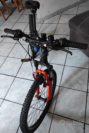 Bicicletta Raptor Nrs