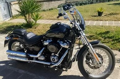 Harley Davidson softail standard 2021