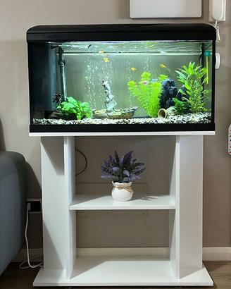 Acquario Amtra con mobile originale – Come nuovo
