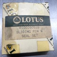 LOTUS TUBO FLESSIBILE A082M6010F HOSE FUEL EXT REE