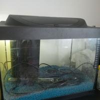 Acquario tetra 30 L