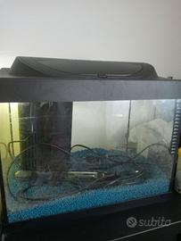 Acquario tetra 30 L