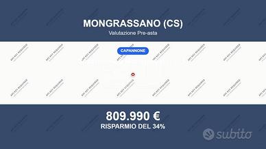 Immobile in asta di 3945 m² a Mongrassano