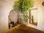 Immagine 14