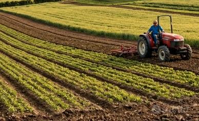 Terreno agricolo