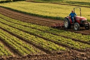 Terreno agricolo