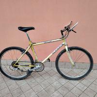 Bicicletta da 26 olimpia con cambio 21 v meccanica