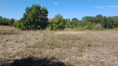 Terreno Edificabile Acquapendente (VT)