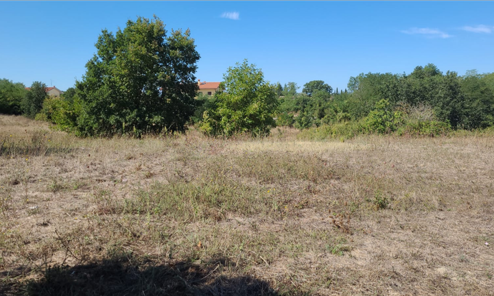 Terreno Edificabile Acquapendente (VT)