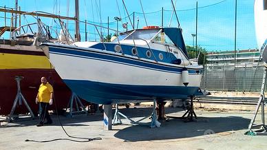 pilotina diesel      l