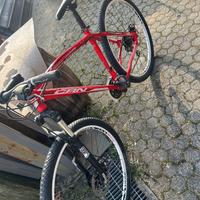 Bici freni a disco