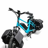 E-Bike Joykie ETC 48V 13Ah x2 - 250 W - 80km